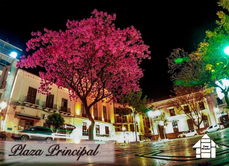 Studio Mirador, Todo Lo Que Necesitas Para Disfrutar Tarija Luaran gambar